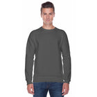 Men's Raglan Crewneck Sweatshirt